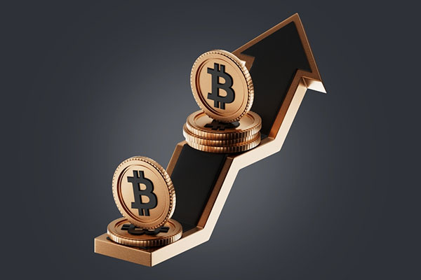 比特币投资指南：从入门到长期配置