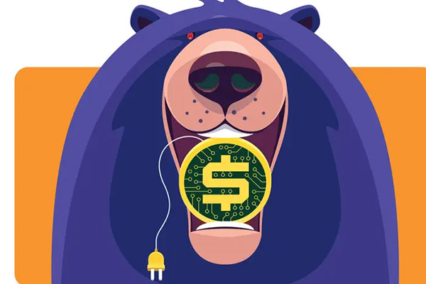 山寨币熊市生存指南：筛选高潜力项目的关键指标