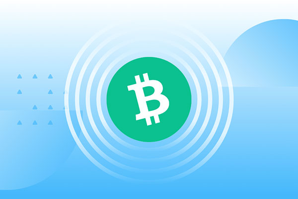 什么是比特币现金(BCH)？2026年是否值得投资？